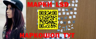 индика Будённовск