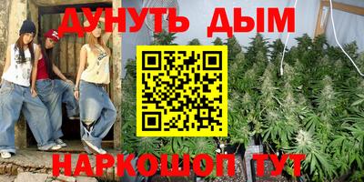 индика Будённовск