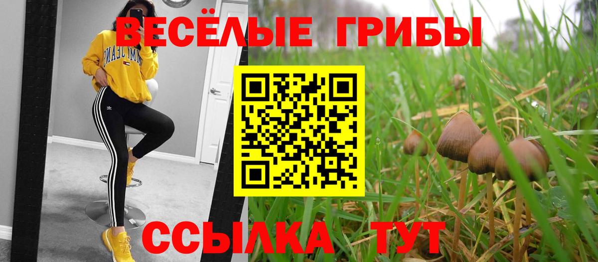 Слободской  Галлюциногенные грибы Cubensis  Вход с VPN 